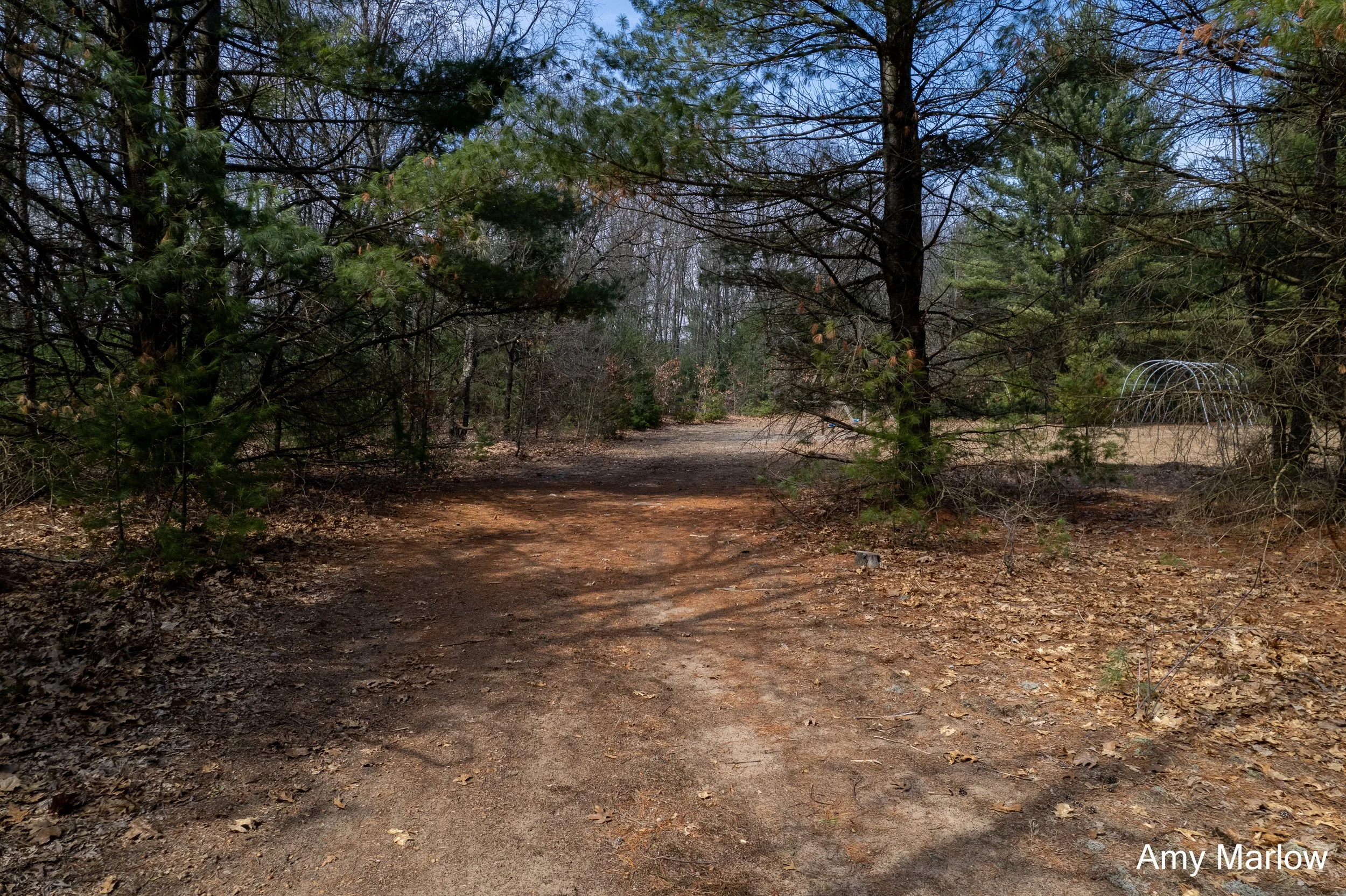 4649 E 28th, White Cloud-7.jpg