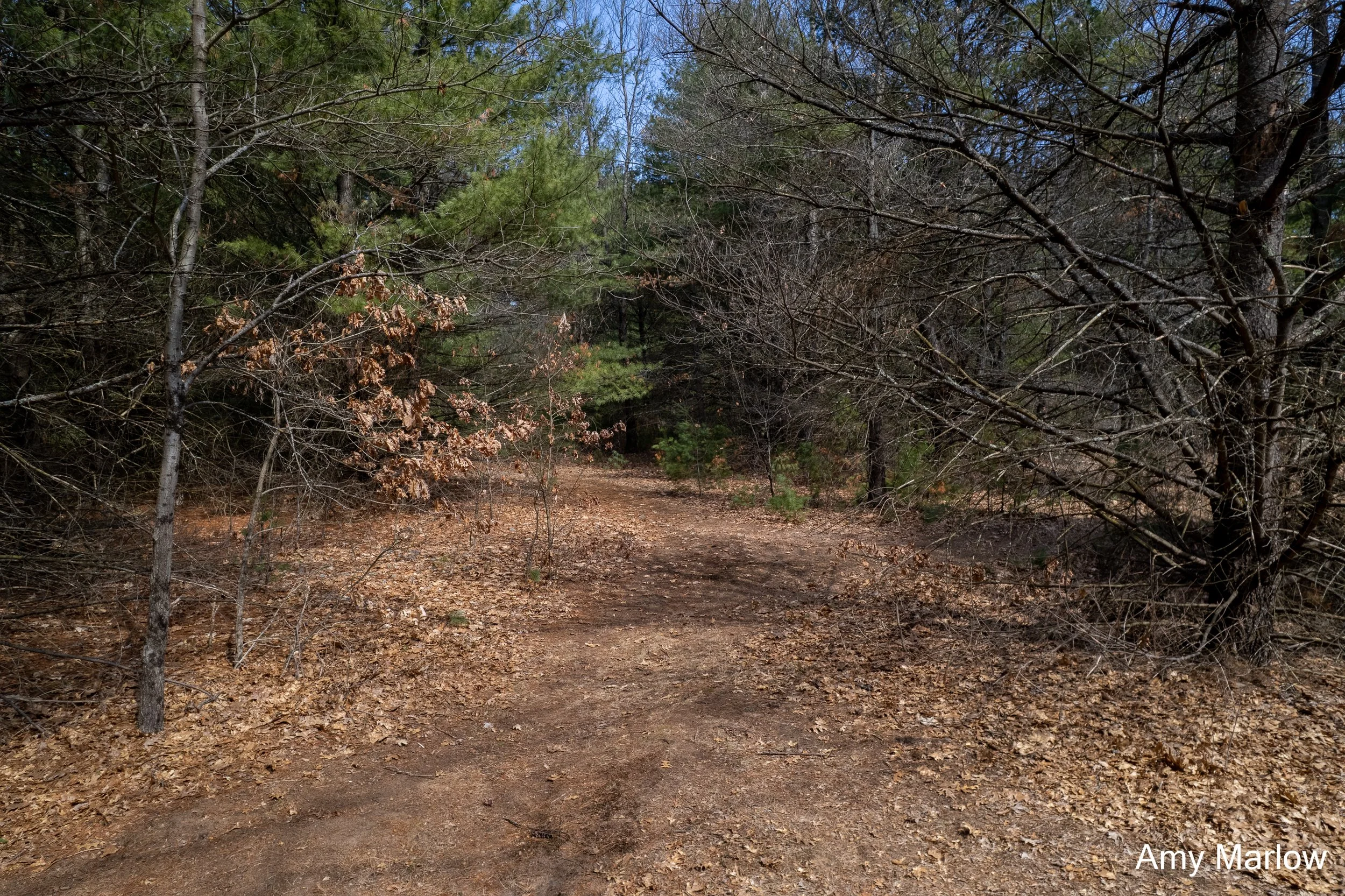 4649 E 28th, White Cloud-5.jpg