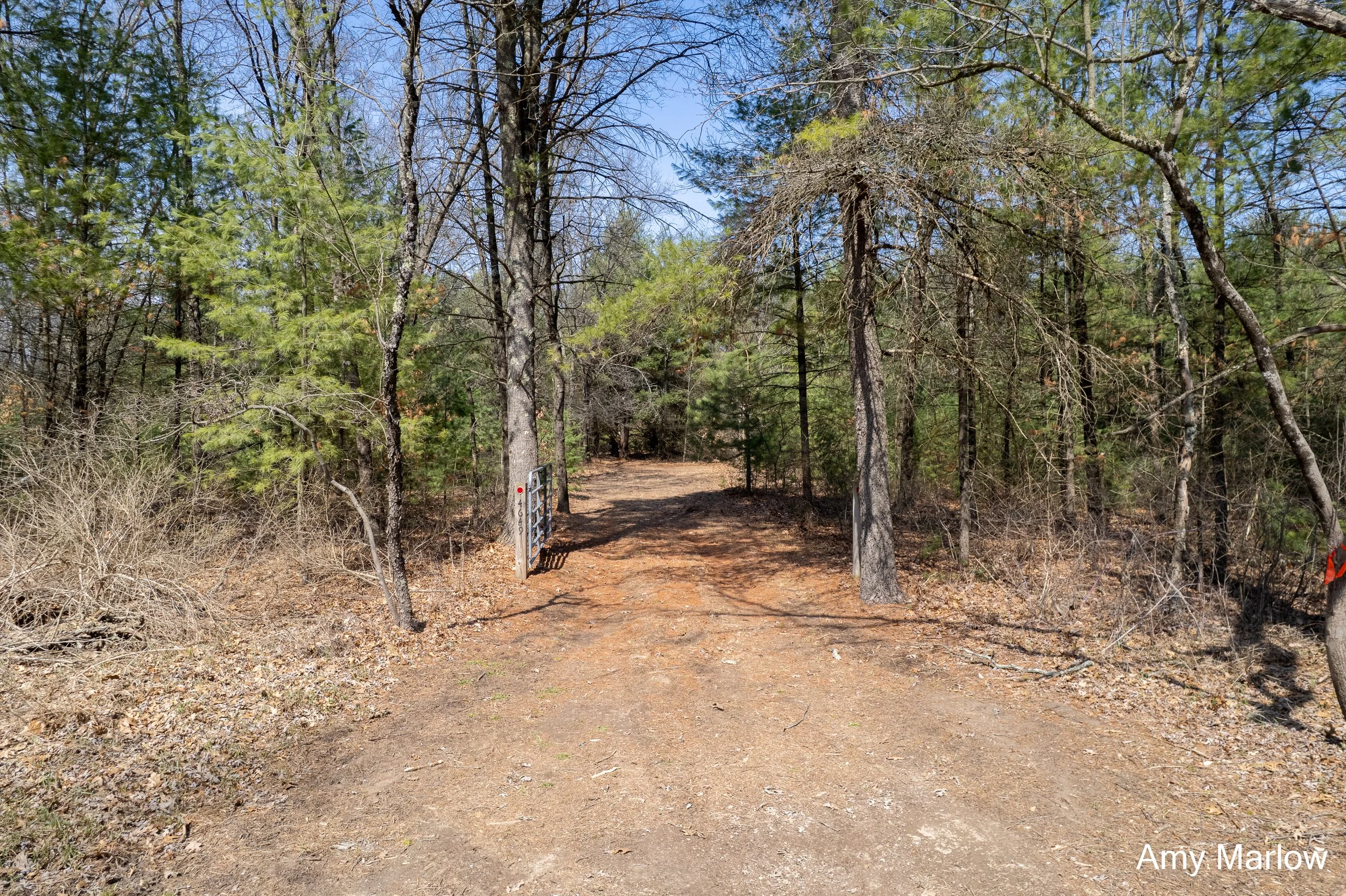 4649 E 28th, White Cloud-2.jpg