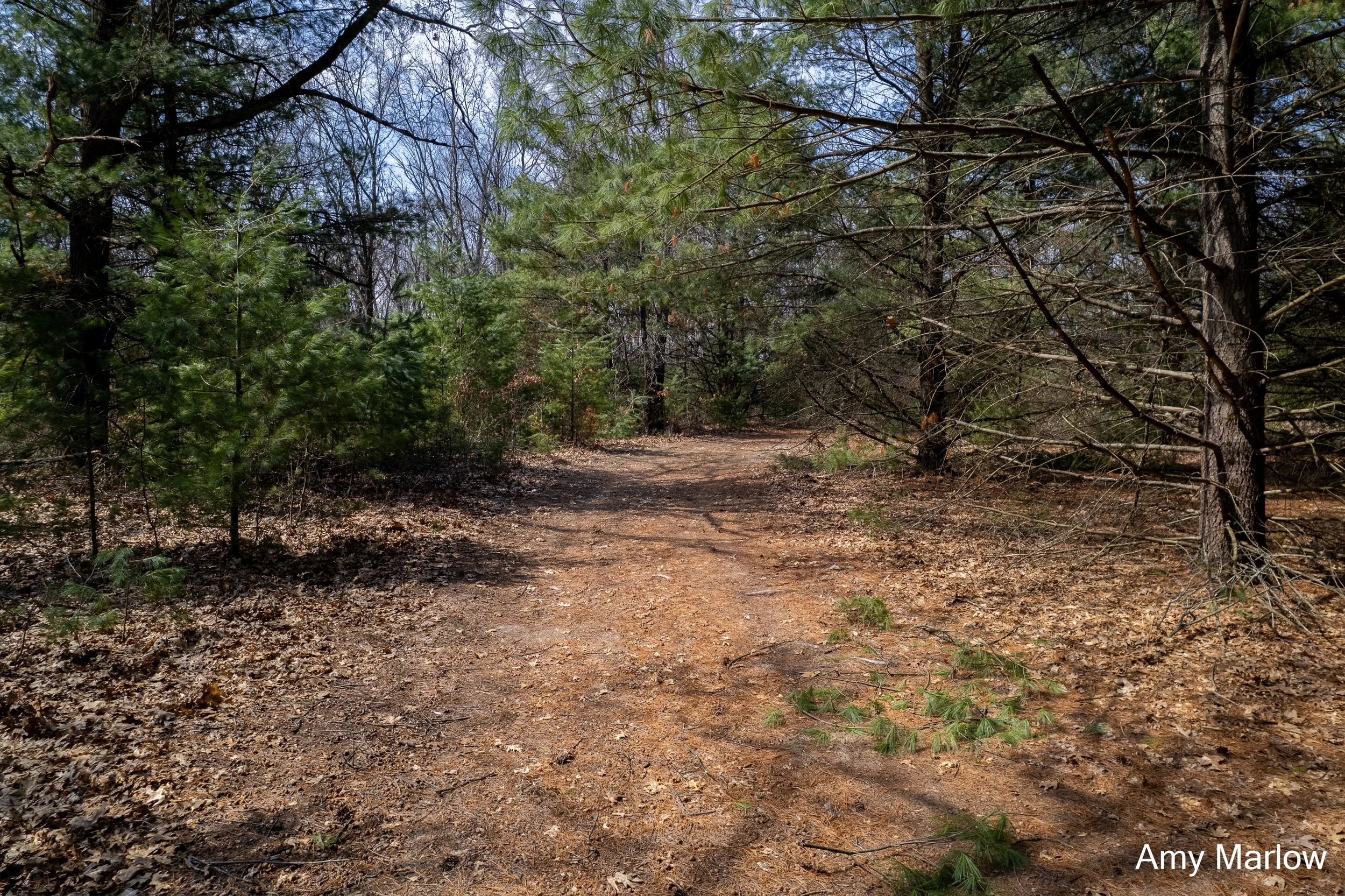 4649 E 28th, White Cloud-6.jpg