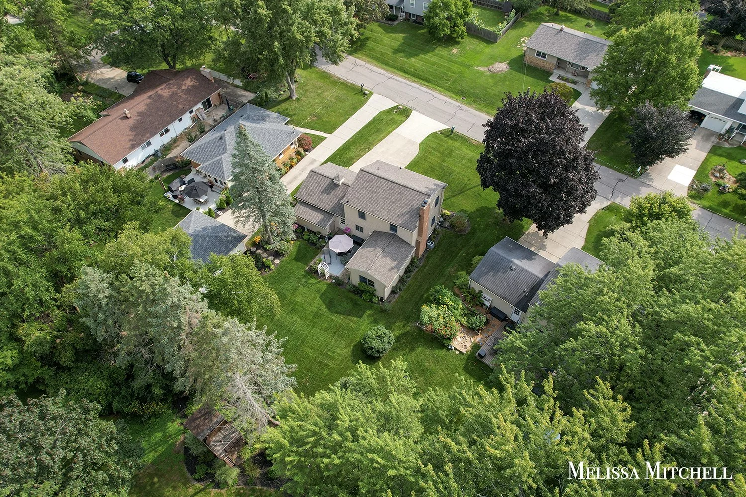 DJI_0431copy.jpg