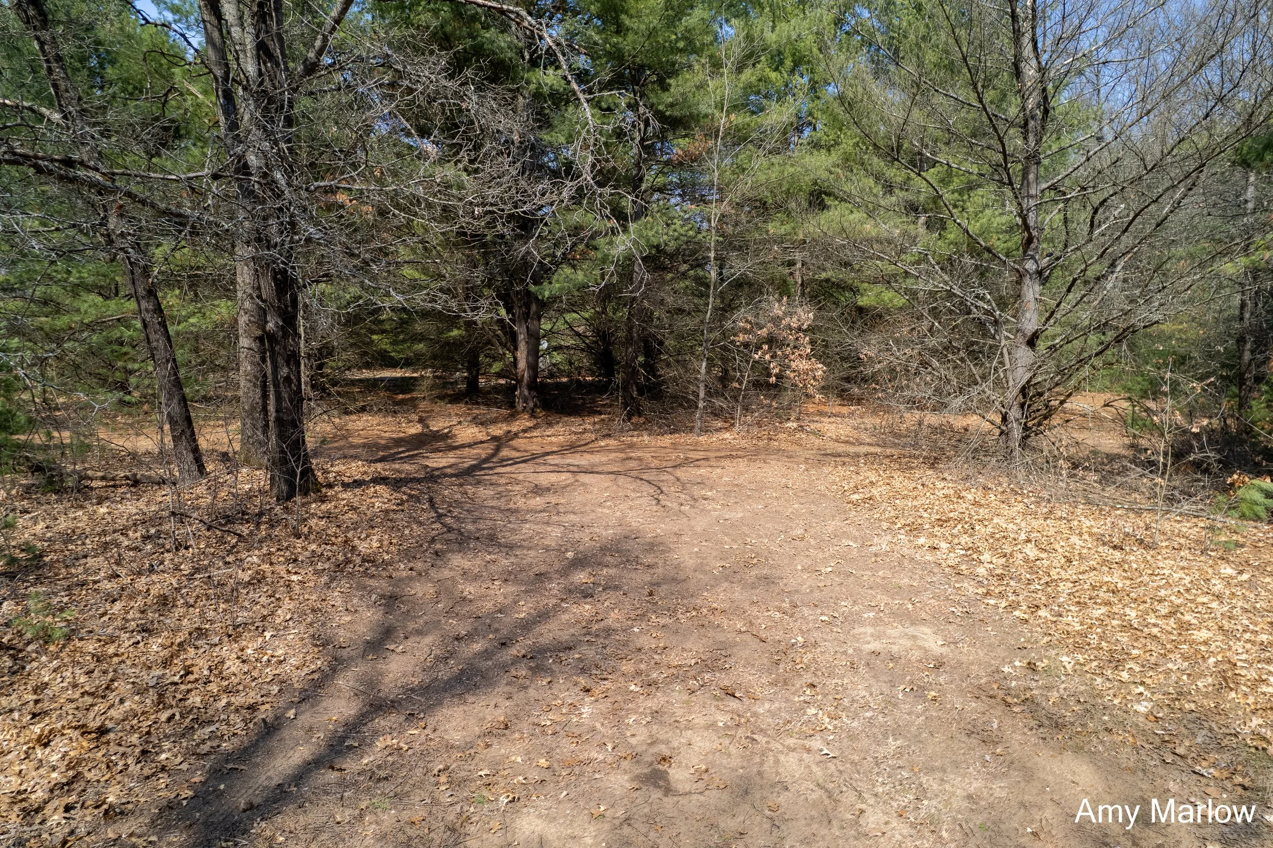 4649 E 28th, White Cloud-4.jpg