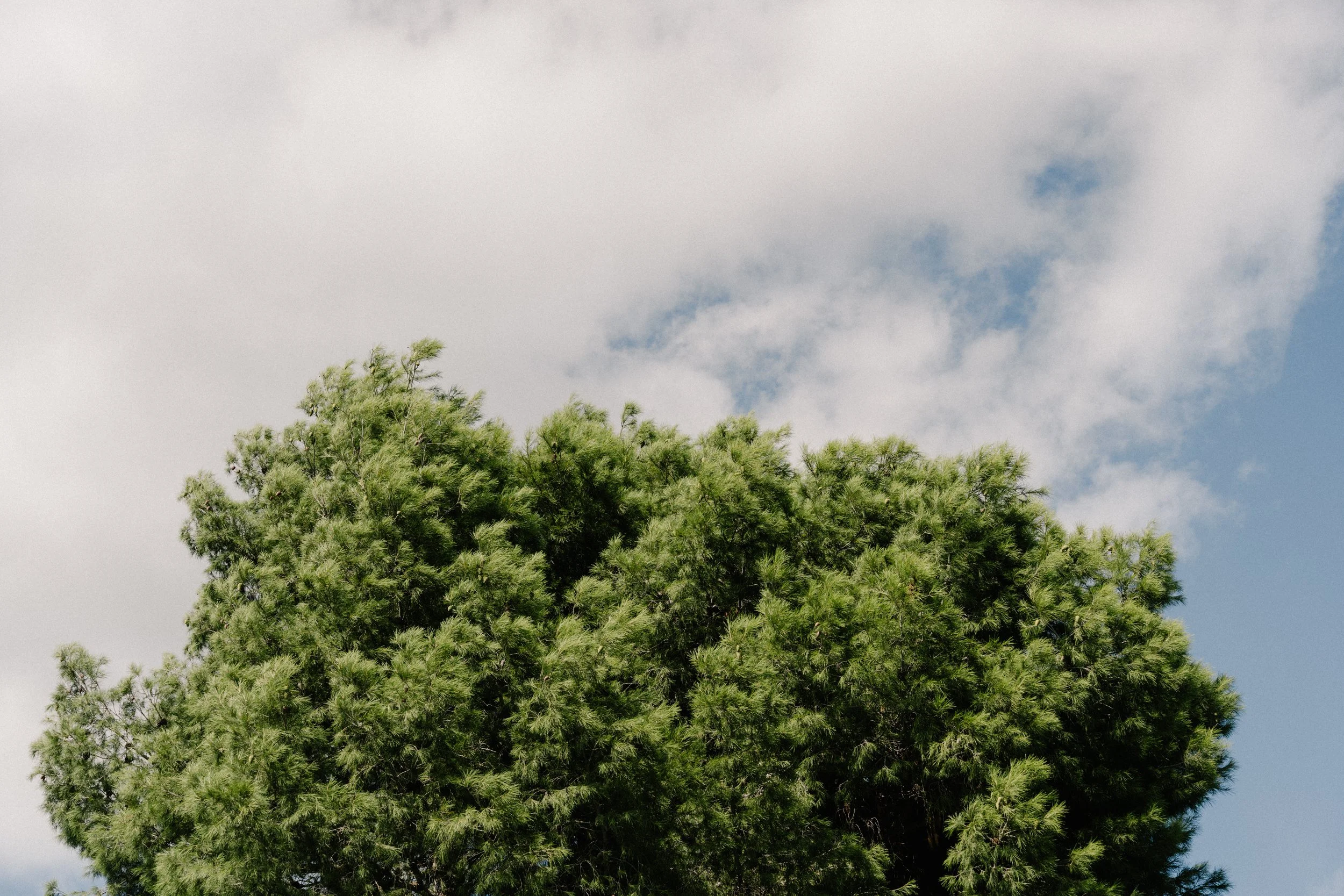 25_09_14 Italy-7.jpeg