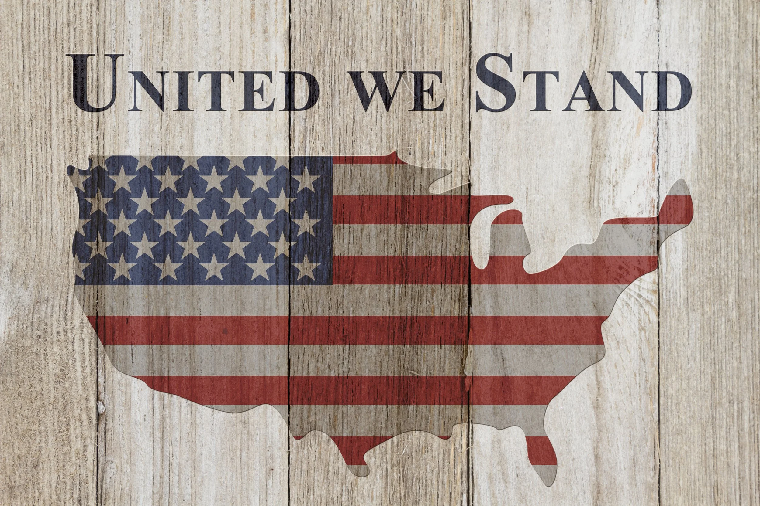 A wooden sign featuring the phrase "United We Stand" alongside the American map and flag, symbolizing patriotism and unity.