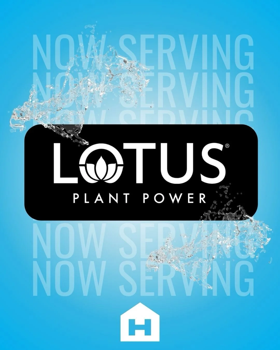 Busy day? Skip the crash. 

We&rsquo;re now serving Lotus Plant Power at The House Cafe - a plant-based energy drink made from Earth&rsquo;s power plants for a cleaner, feel-good boost.

Perfect for:
🏋️ pre-workout energy
📚 study sessions
🏃 runnin