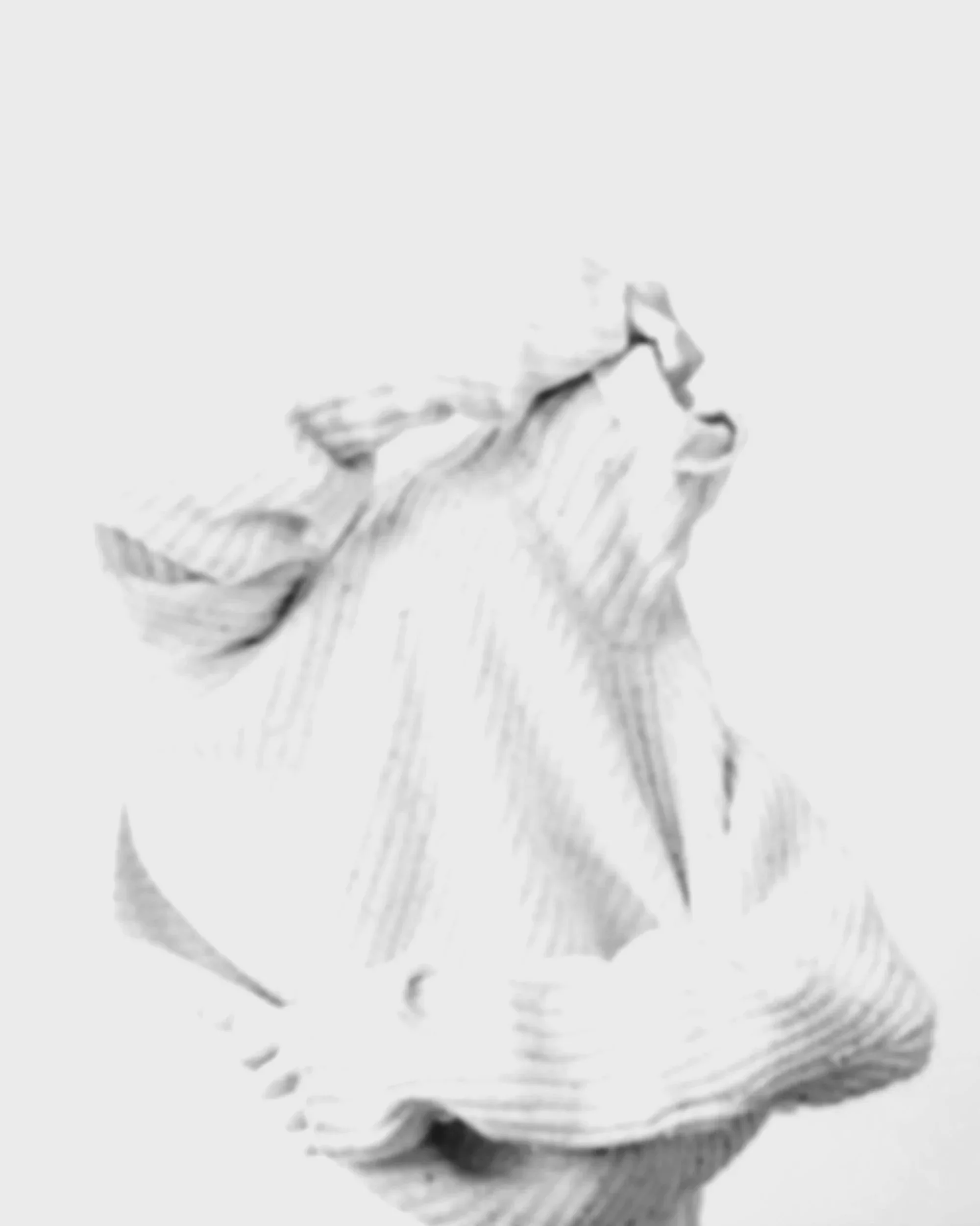 Women's Personal Stylist