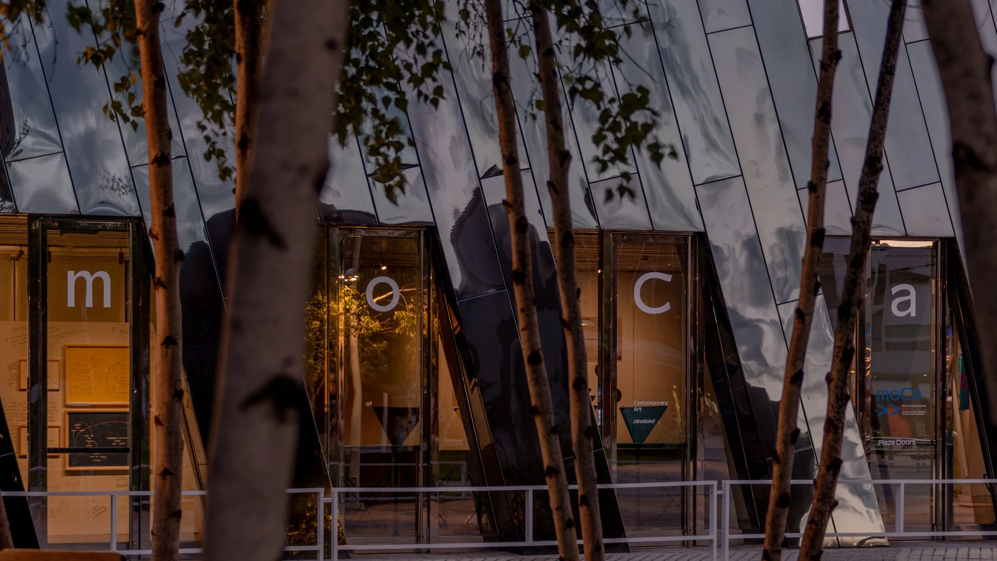 MOCA-2.jpg