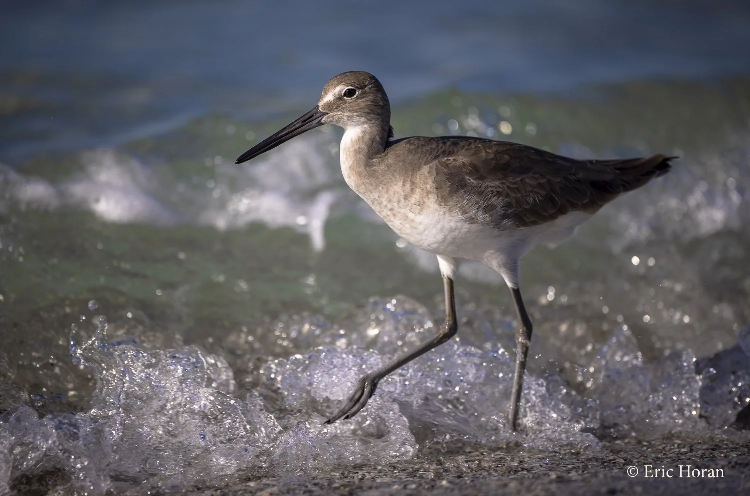 untitled_211115_109_untitled shoot.jpg