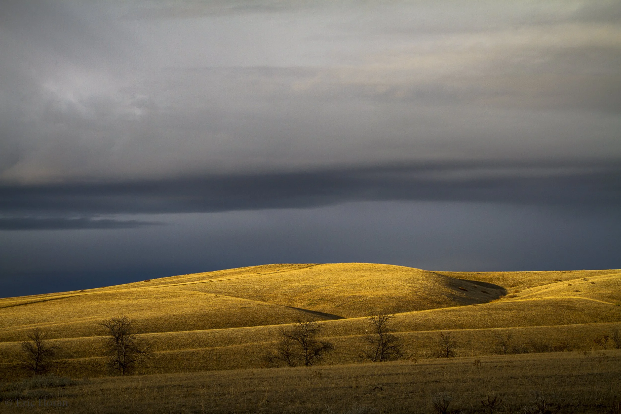 Montana/Yellowstone: Big Sky/Big horns/  (December 2026)