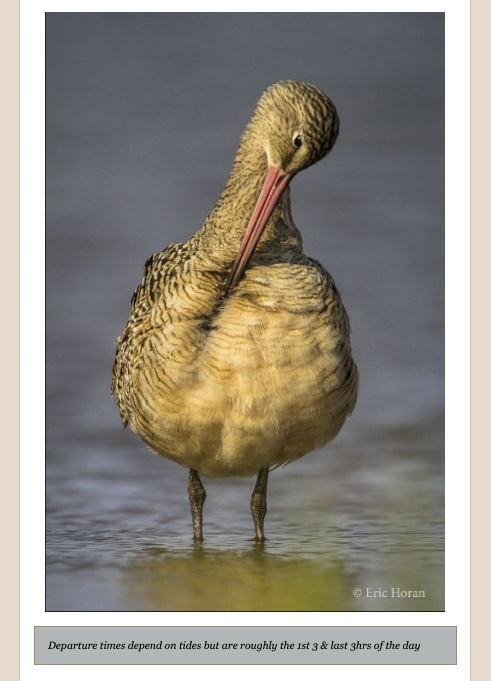 Screen Shot 2026-02-28 at 5.10.04 PM.png