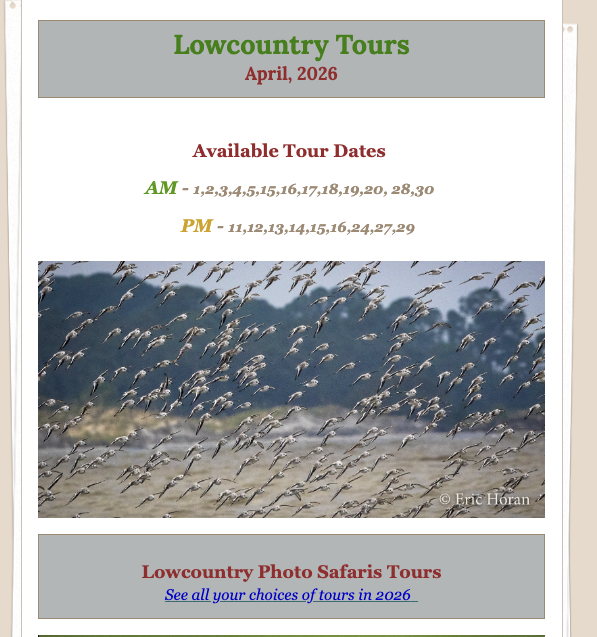 Screen Shot 2026-02-28 at 5.08.17 PM.png