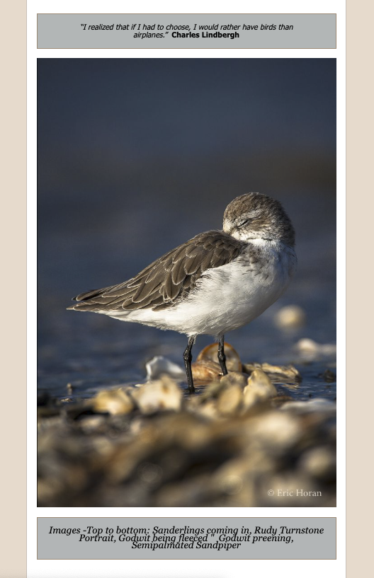 Screen Shot 2026-02-28 at 5.09.47 PM.png