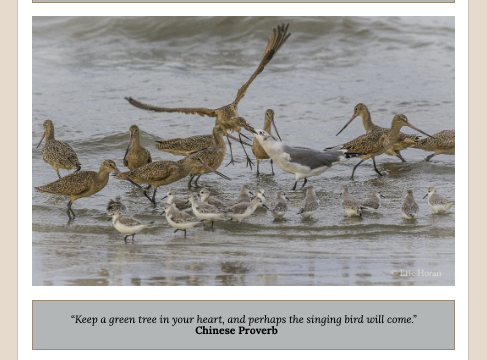 Screen Shot 2026-02-28 at 5.09.08 PM.png