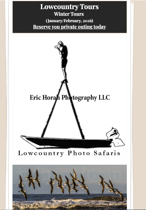 Screen Shot 2025-12-30 at 2.18.23 PM.png