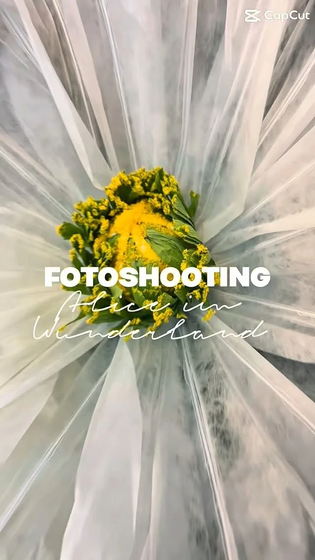 Hier ein paar Einblicke von unserem tollen Shooting bei @tanzfotografie.kassel 📸 Danke lieber Stephan für die tollen Fotos. Emma, Sophie, Franzi und Maja haben hier alles gegeben und ihre Rollen super in Szene gesetzt. 🎭🩰❤️ Bald kommen die er