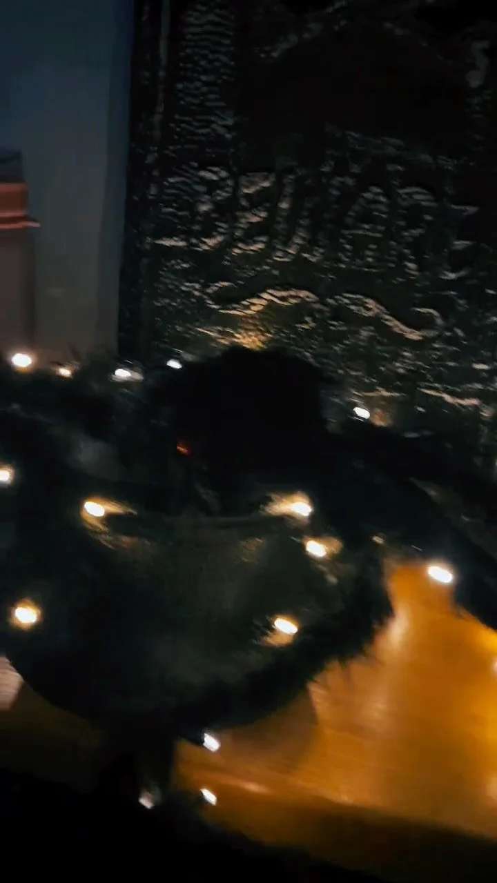 Halloween Party - Klappe die Erste 👻🎃 Diese Woche finden unsere Halloween Partys, mit vielen Spielen von Geisterkegeln bis Hexenhut werfen und Glitzertattoo Spaß, statt. Die kleinen und großen Ballettmädels und Jungs feiern in bunt