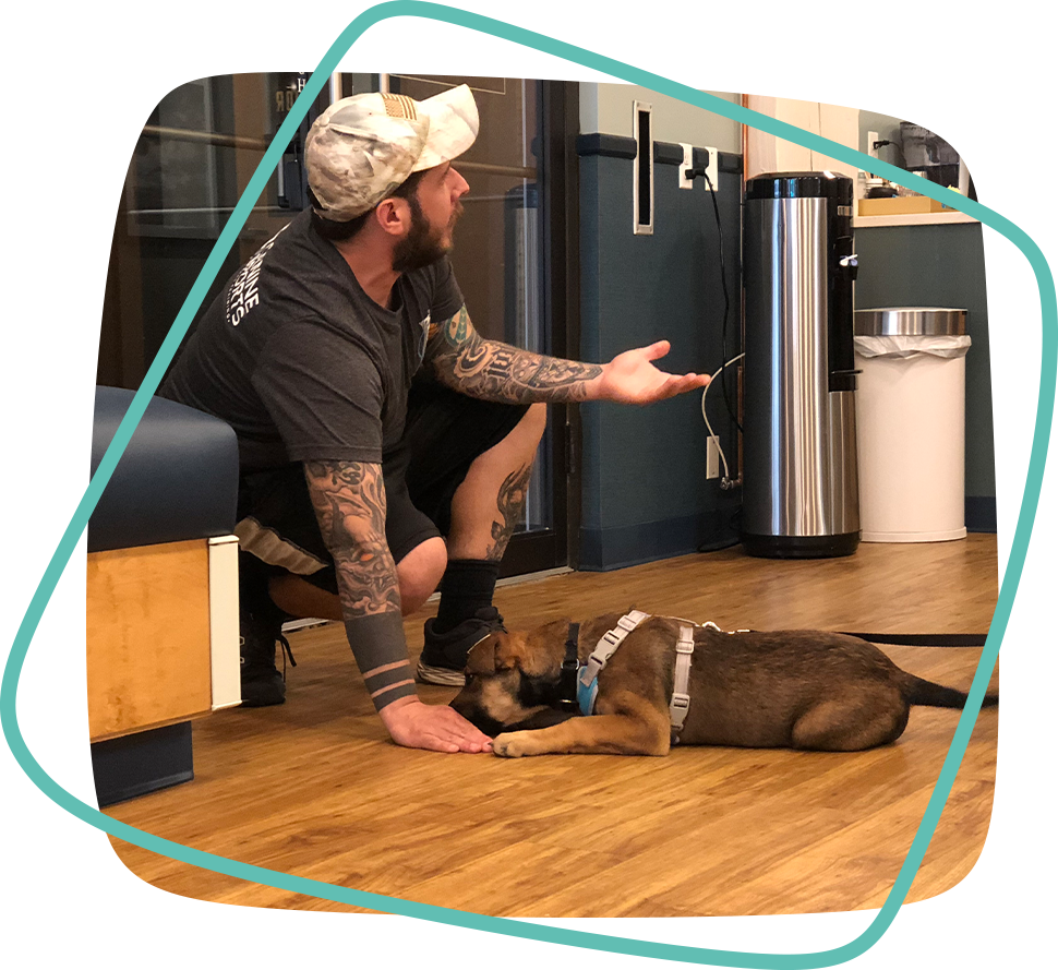 puppy day sessions