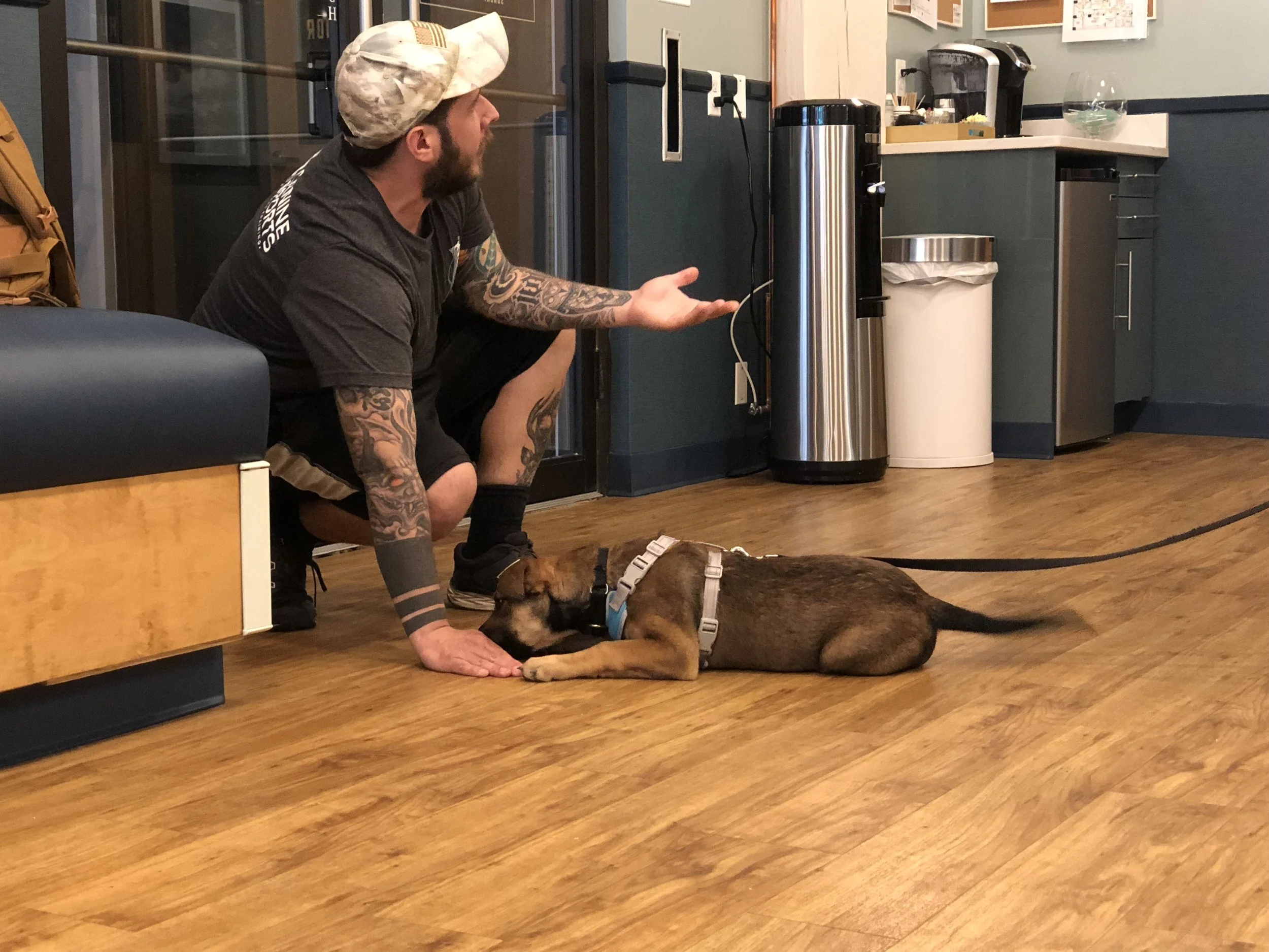 teaching puppy class Chicago