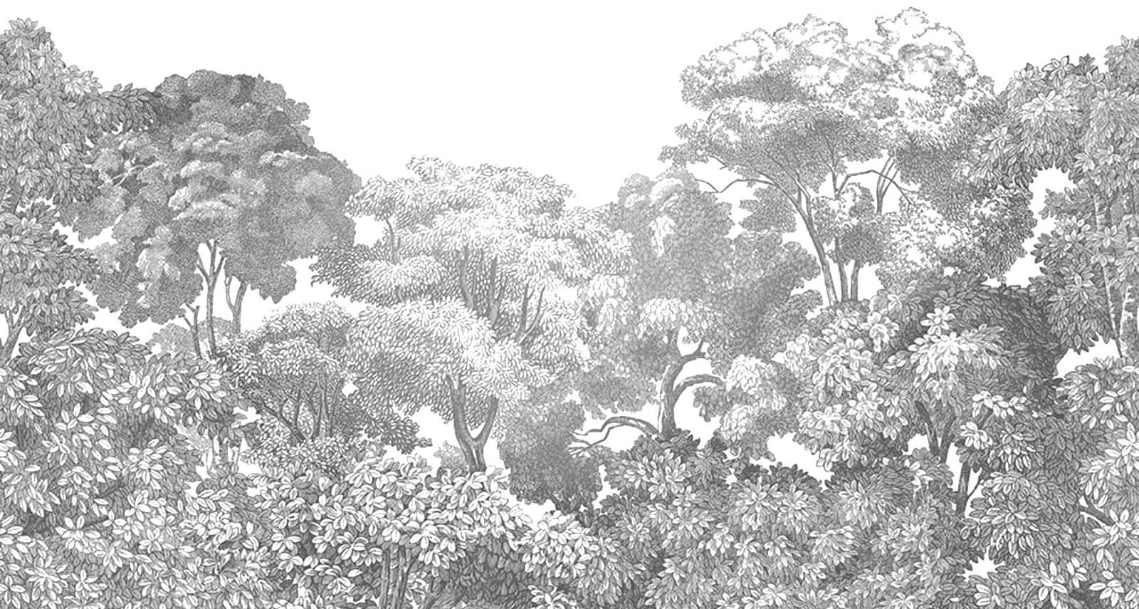 Black and white sketched landscape wallpaper from a Melissa Peretti Interior Design Project in Toronto