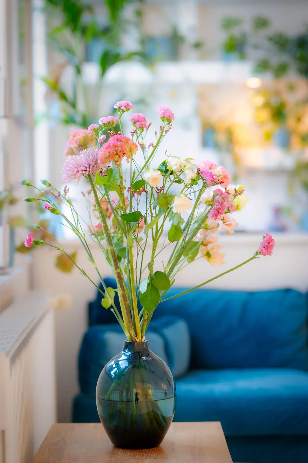 W_B2244338_BLOOM_©JoTitze.jpeg