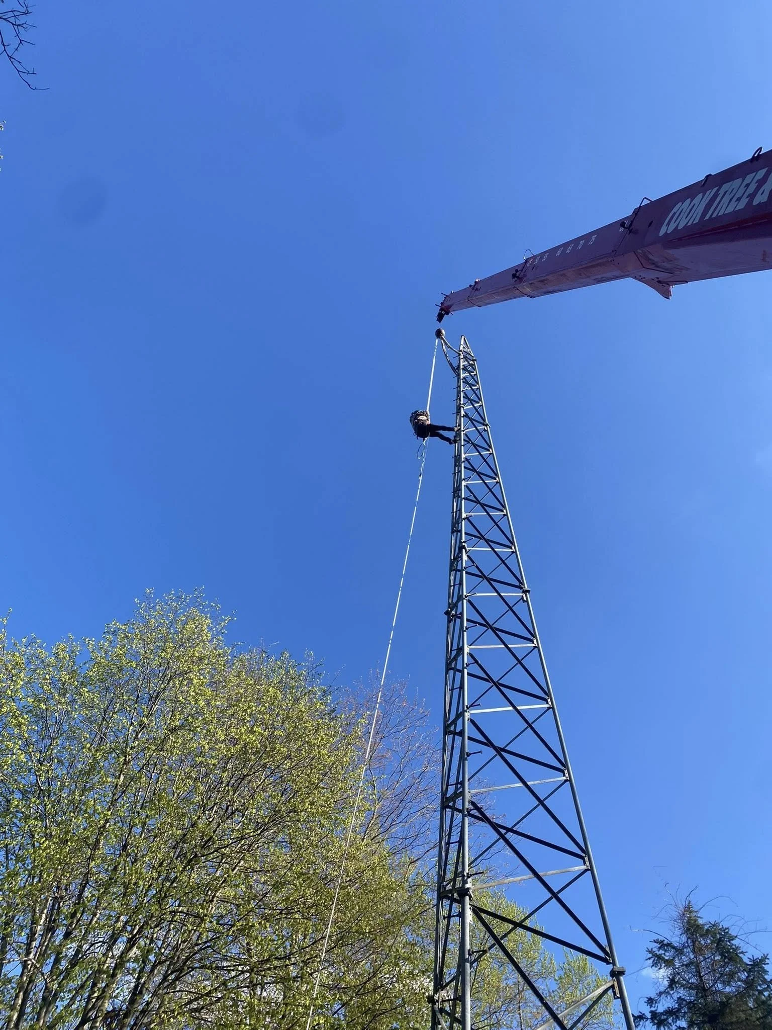 crane 2.jpg
