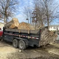 tree 4.jpg