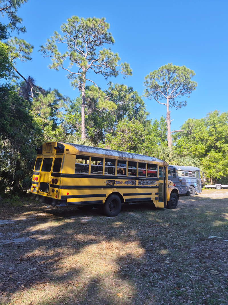 BUSSES &amp; COOL CARS