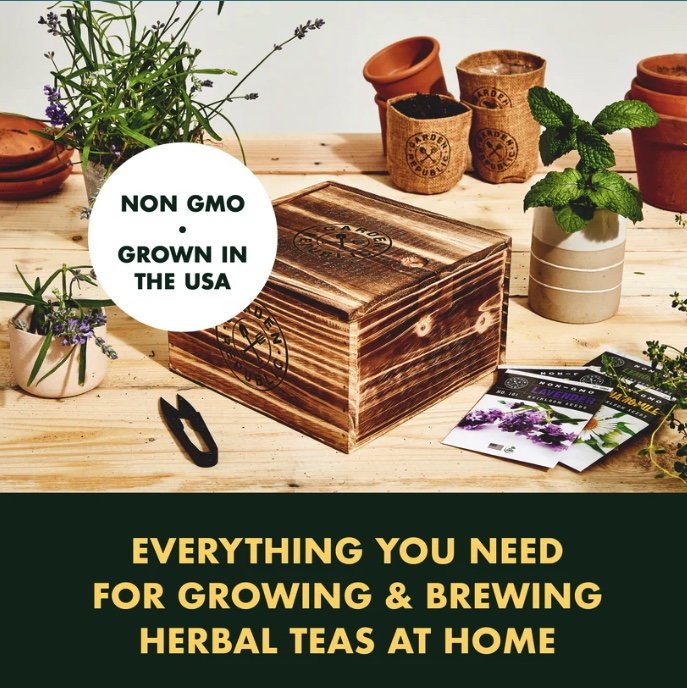 TeaBox_MainAlt_005.jpg