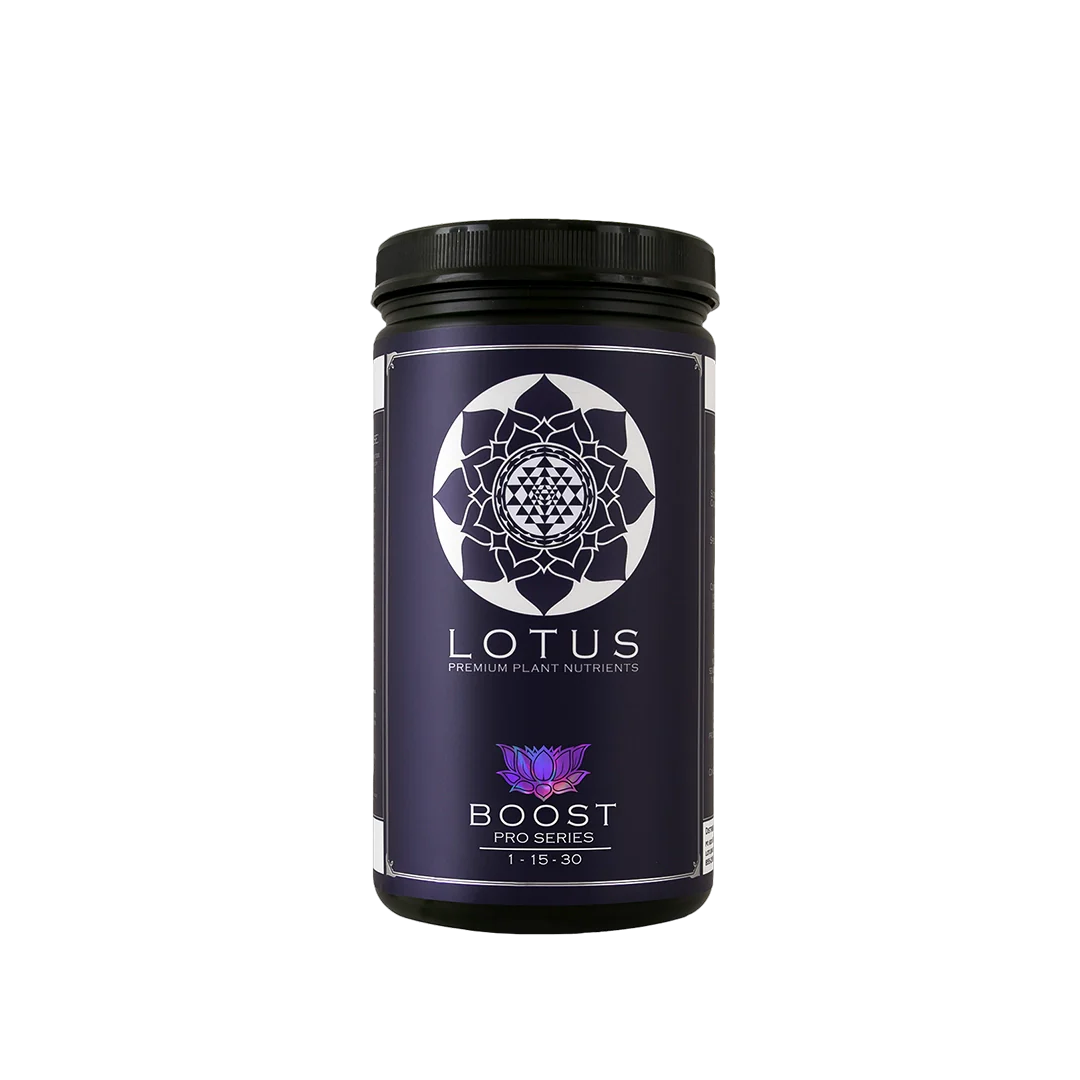 02BoostWeb.png