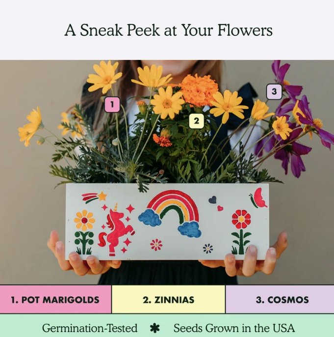 KidPaintFlower_InsideKit_002.jpg