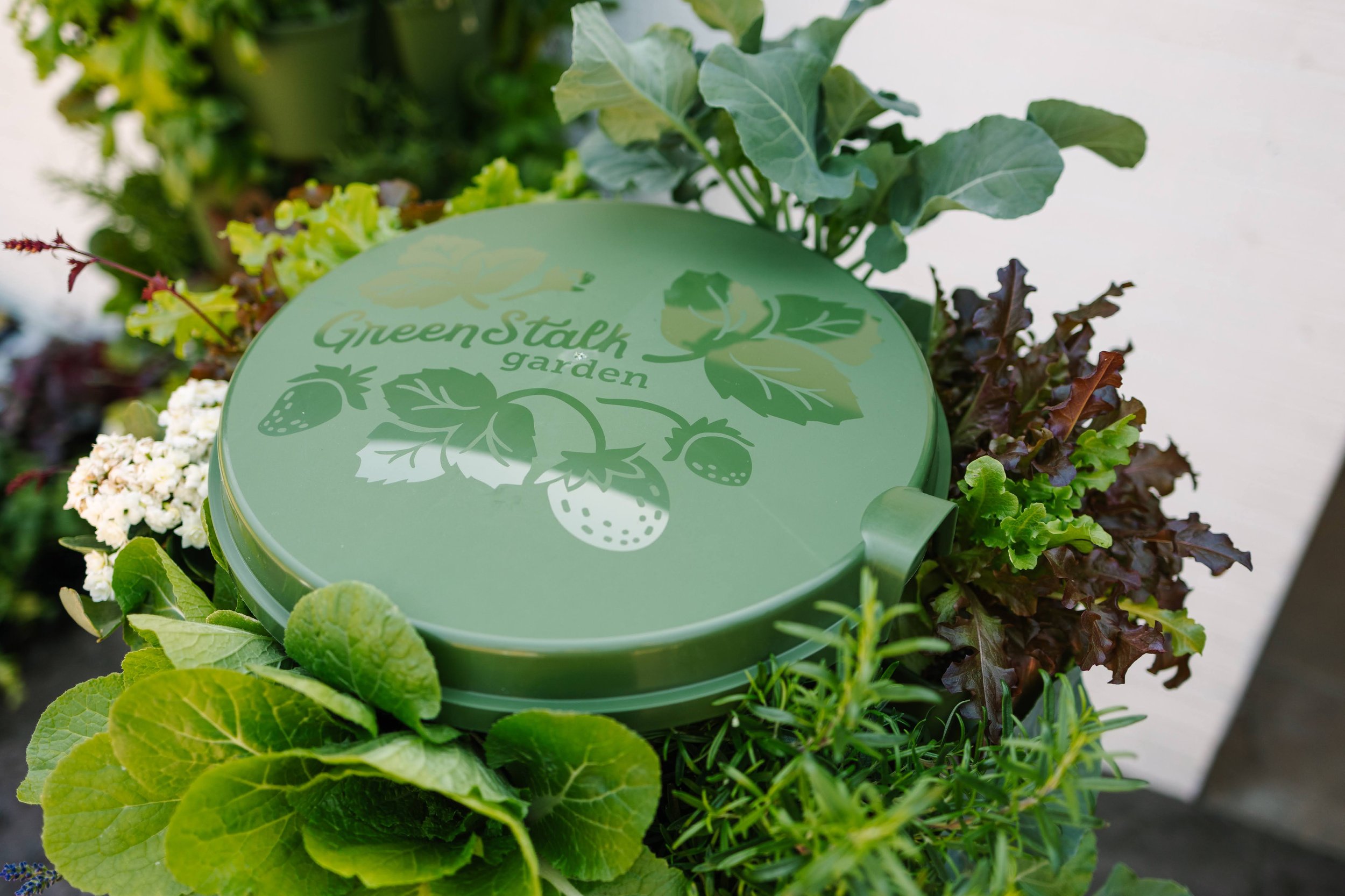 greenstalk-28.jpg
