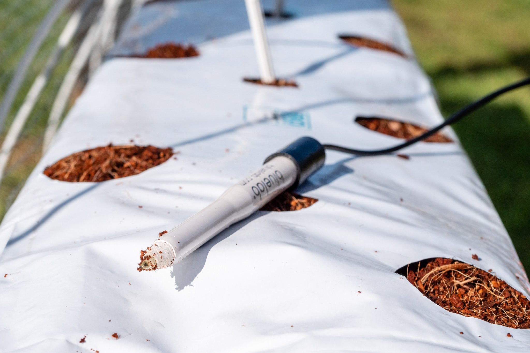 BL_Image-InSitu_Leap-pH-Probe-1.jpg