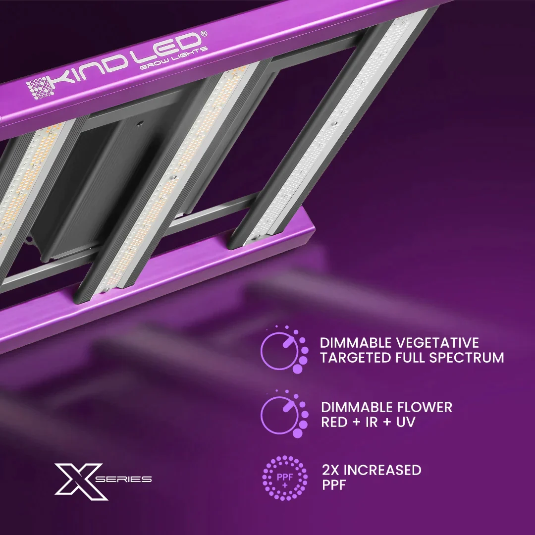 02-New-X-Series_30f70706-c0db-4840-9be7-32389b1d41f3.png