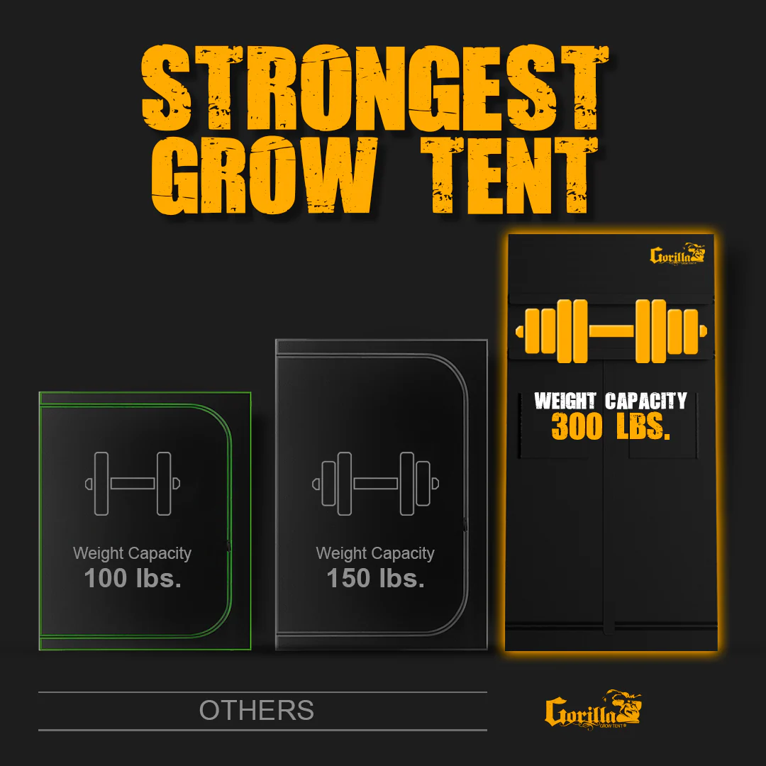 New-GGT-Value-Props-03_05ec8a2e-01b7-4bb8-a96c-b37a1aba63d9.png