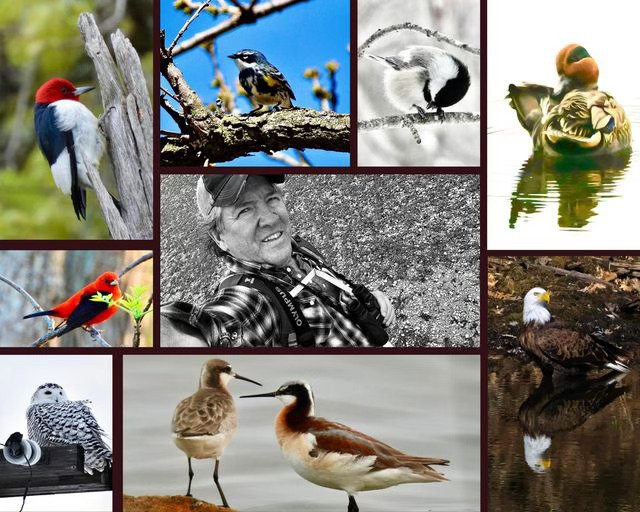 OPEN HOUSE 6:30PM May 1, 2025 Birding With Jeff Velline - Minnesota Master Naturalist