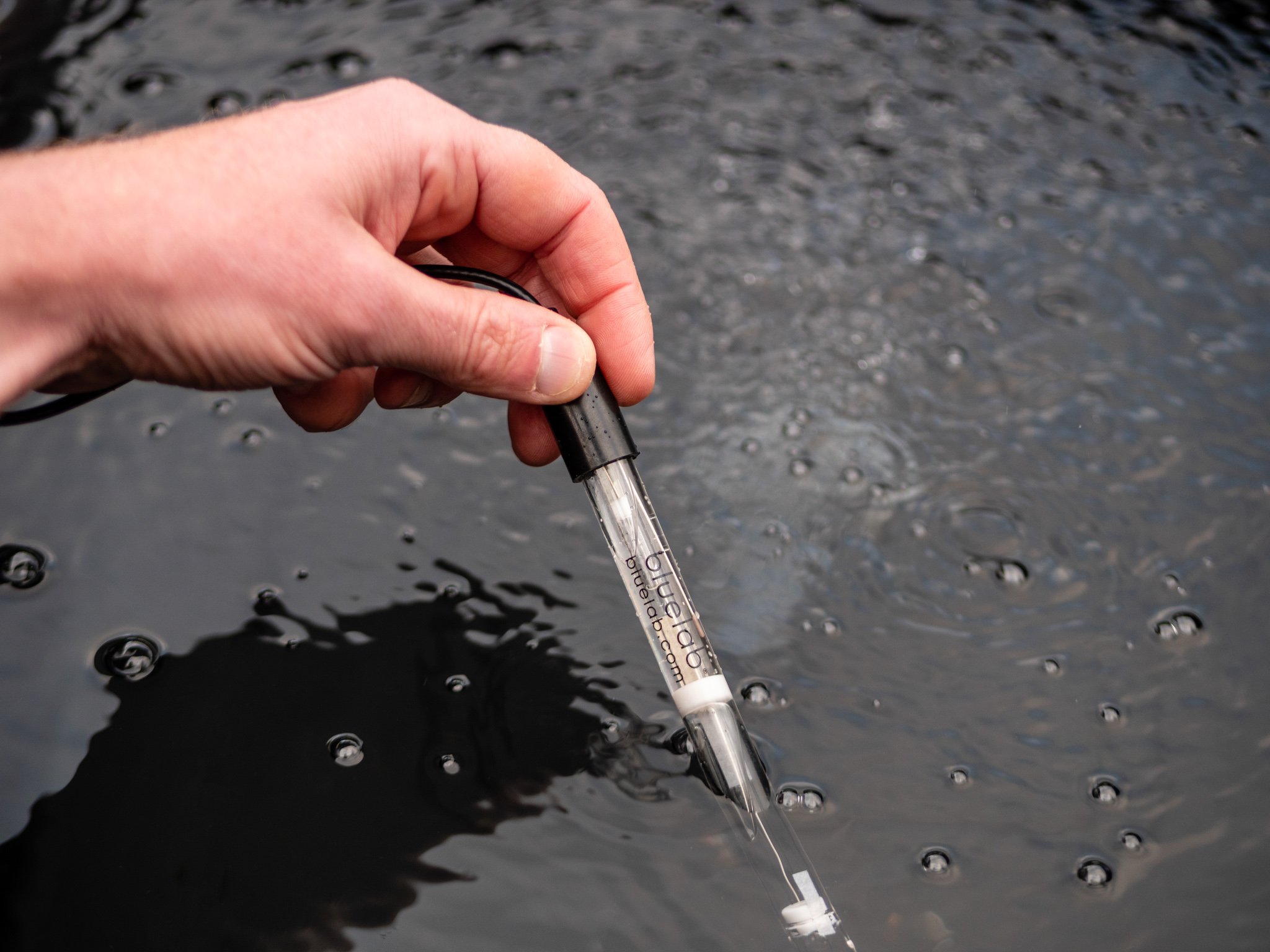 BL_Image-InSitu_pH-Probe.jpg