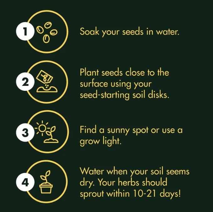 HerbBox_Instructographic_005.jpg
