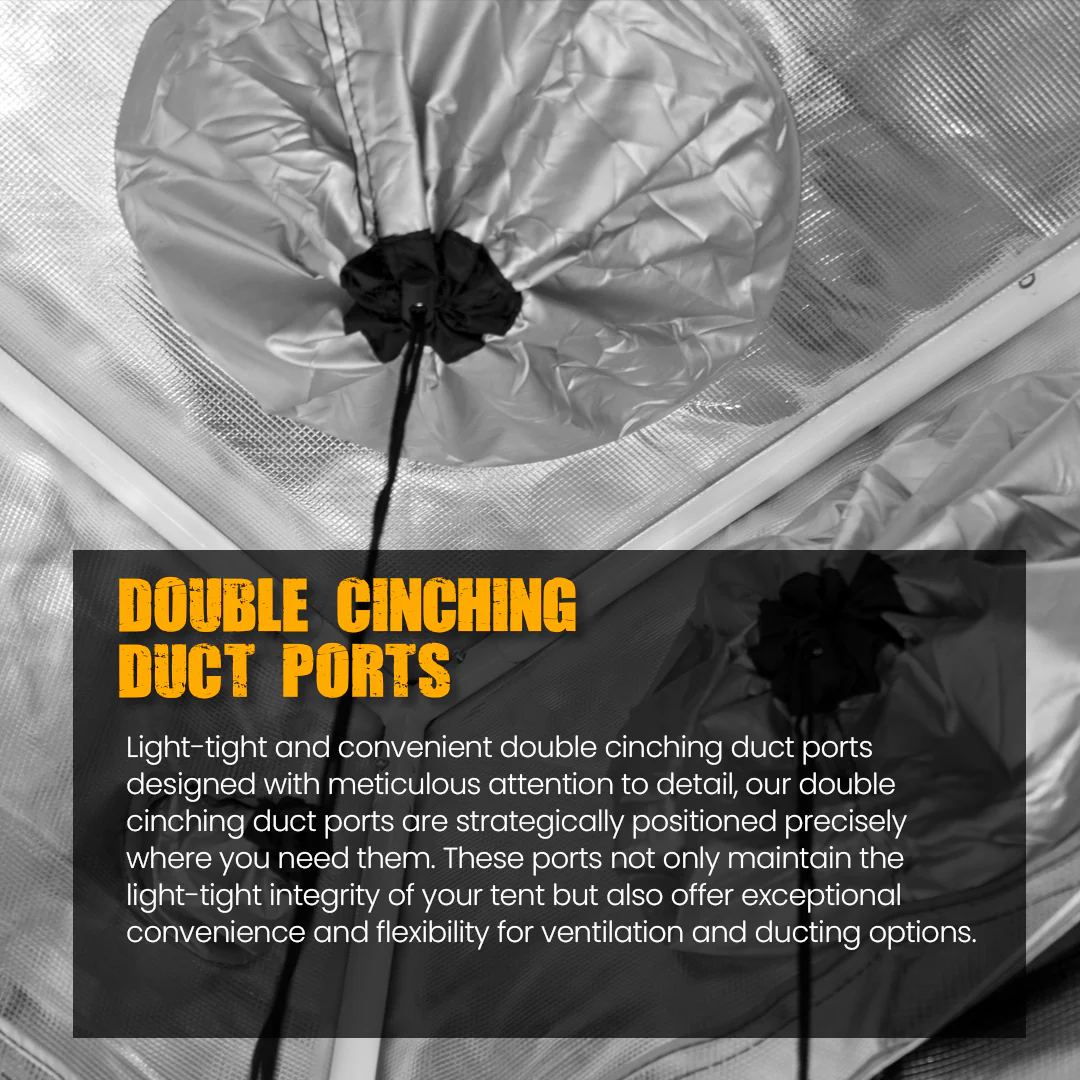 New-GGT-Value-Props-08_4d7f6e75-3572-43a3-b7d3-b773b13182dc.png