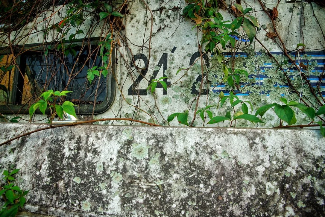 8ED20005-4BC1-4088-979D-8C2AC6F3F393_1_105_c.jpeg