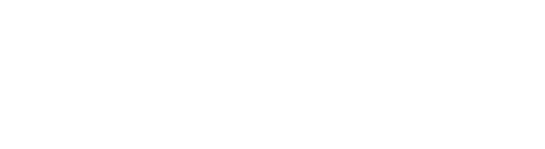 Aria Safety