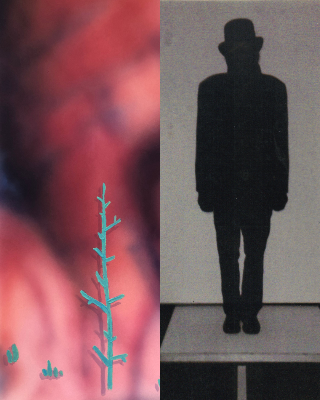Opening Reception | Home Body & Chance Encounters