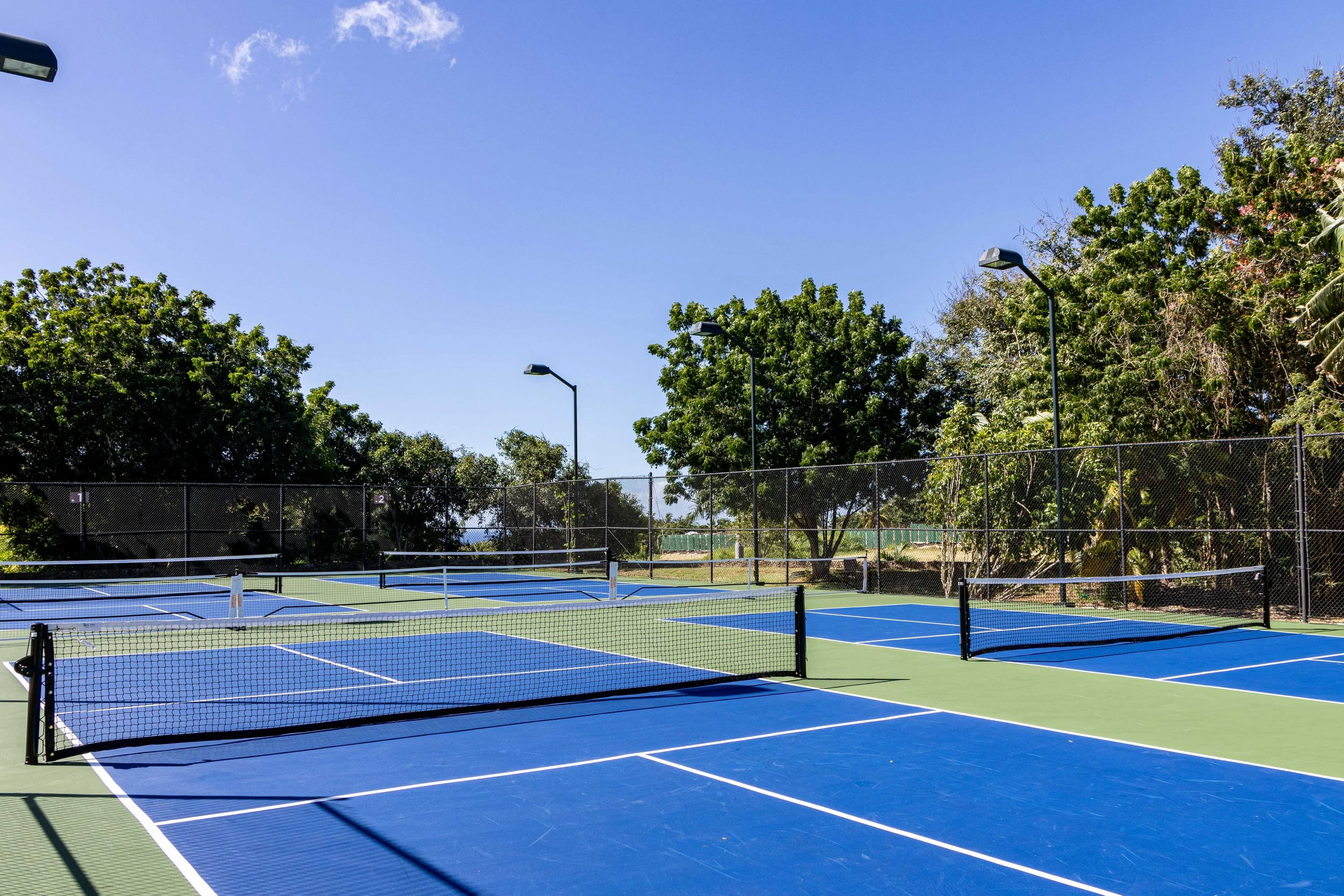 30_ Pickleball courts.jpg