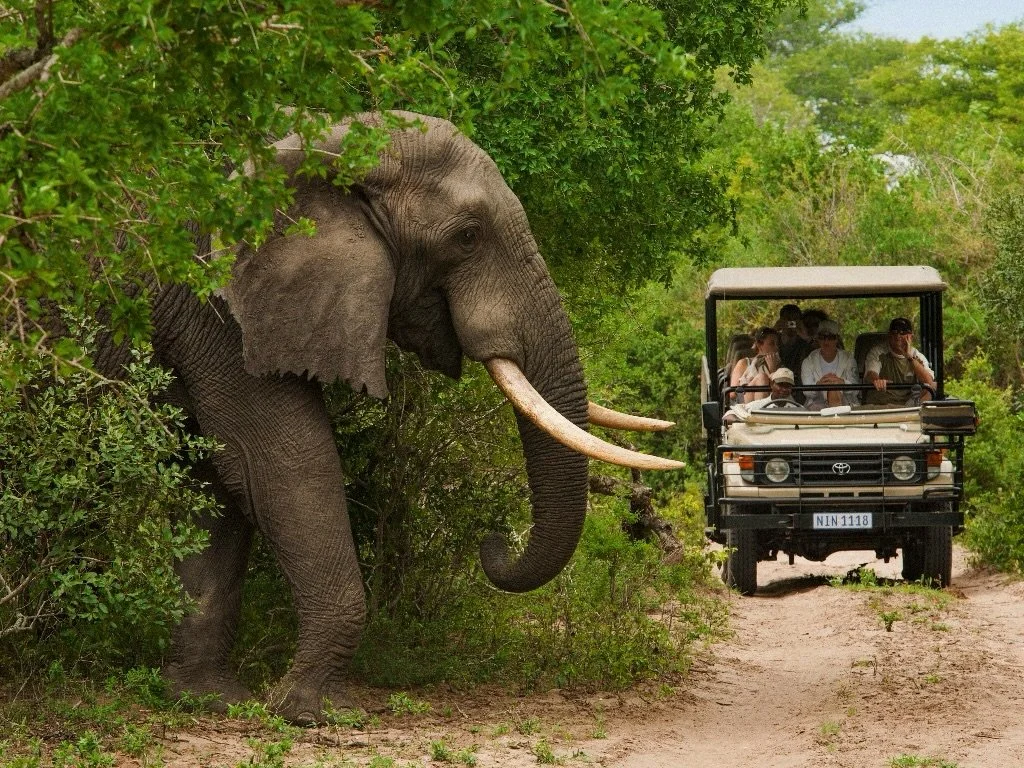 📸🦒✨ IT&rsquo;S OCTOBER: WILD SAVINGS MONTH! ✨🐘🦁

Dreaming of a thrilling trip like an African safari? This month, TTI Travel is making it a reality with exclusive savings!

🌍 $400 OFF Africa, Asia &amp; Elsewhere:
Book your @gocollette safari or