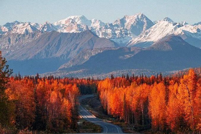 🍁 Fall in Alaska: Next Level 🍁

Want the best of Alaska? Travel with TTI Travel and @gocollette on a small-group Land &amp; Sea journeys! 

It&rsquo;s the ultimate way to embrace the majesty of nature: witness the tundra&rsquo;s explosion of gold a