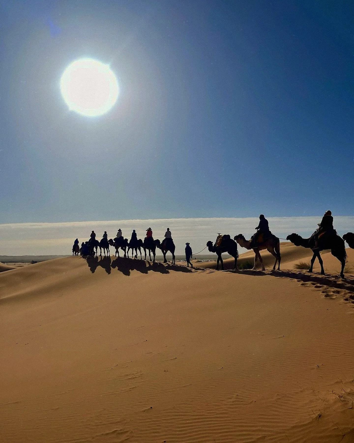 Humpday by @gocollette ๐ช
#travel #traveladvisors #luxurytravelconsultant #luxurytravelexpert #luxurytraveladvisor #Collette #Gocollette #collettetravel #partnerofthemonths
