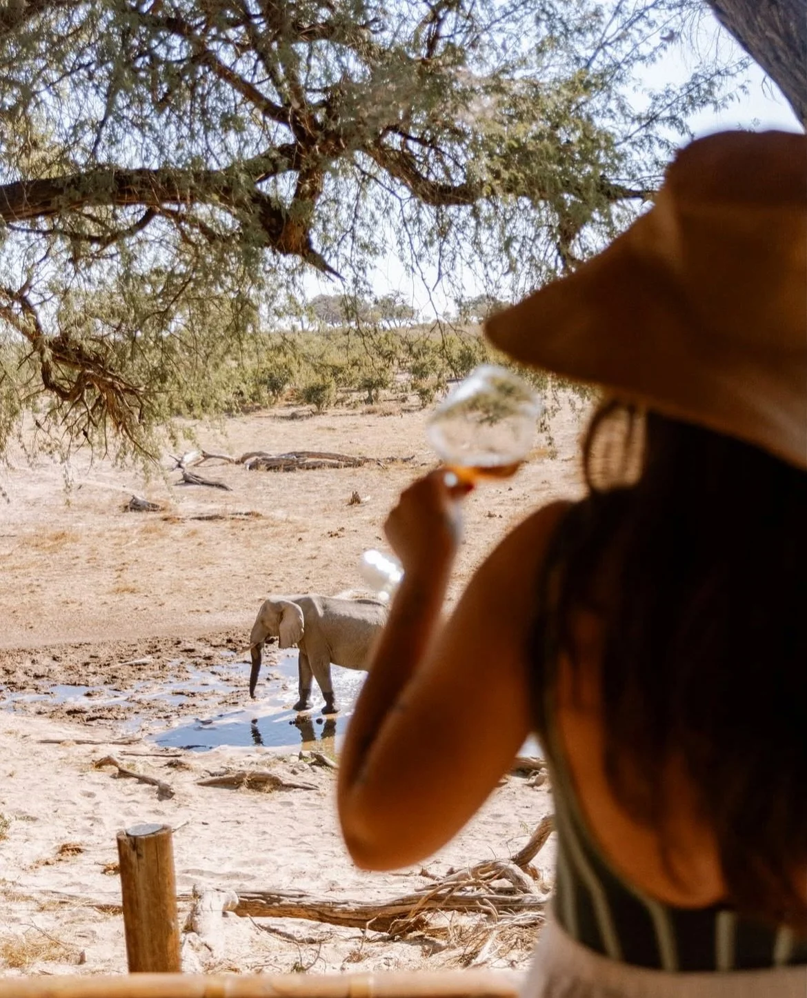 Experience the ultimate contrast safari on the luxurious 6-day @belmond Grand Tour!✨🇧🇼🦒🗺️

🦁DAYS 1-3: Okavango Delta at Eagle Island Lodge. Glide through the waterways on a traditional mokoro and spot aquatic life. Pure water magic!

🐘DAYS 4-6: