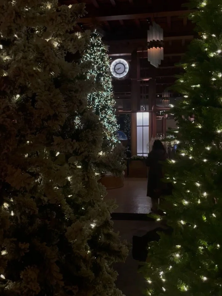 What a way to kick off the holiday season! 🎄 

TTI Travel had a truly enchanting night at the spectacular Tree Lighting at the @fairmontroyalyork ! 🥂☁️✨🕯️🦌❄️

We then spent the night with our Fairmont friends celebrating an amazing year of joint 