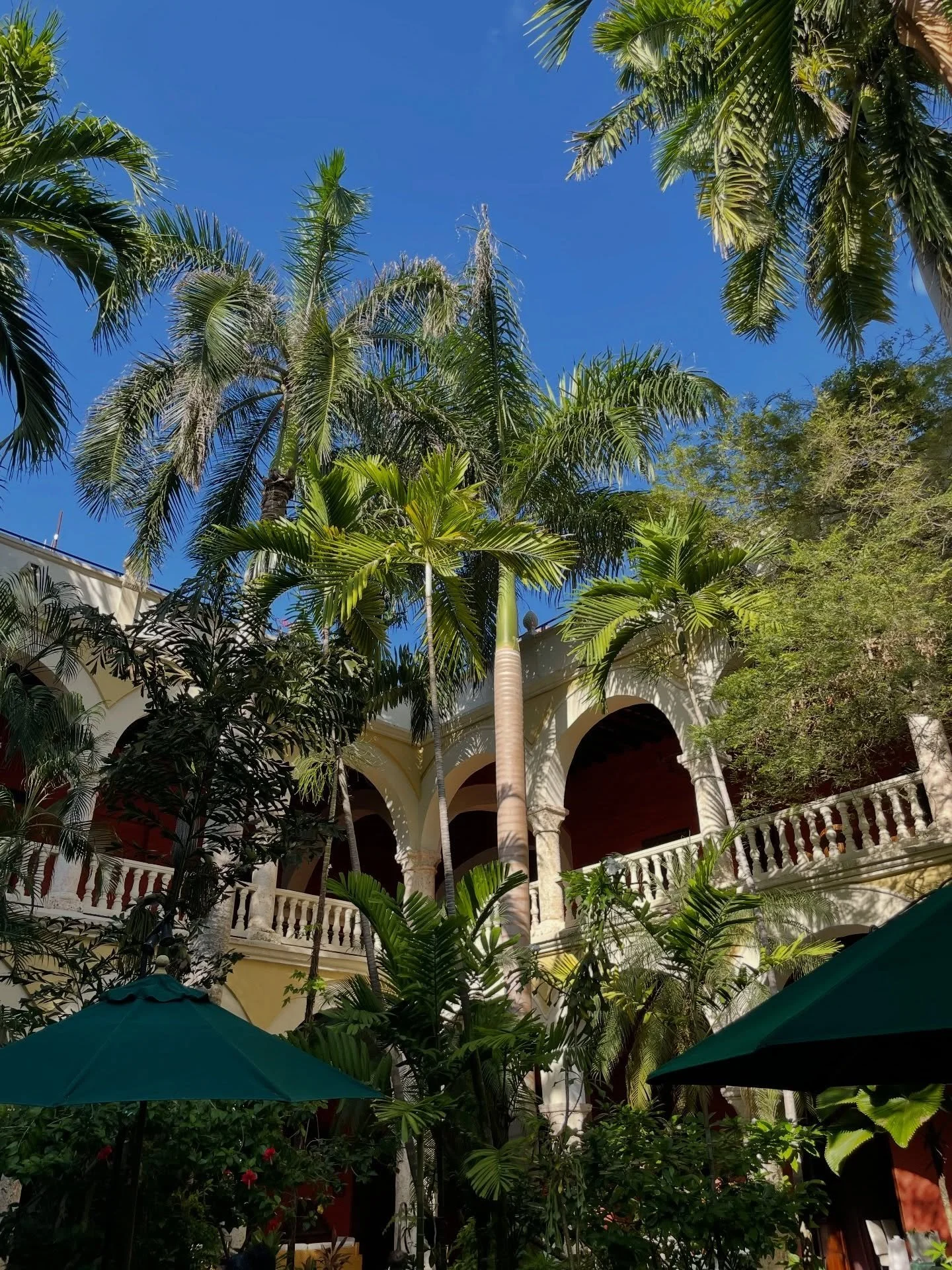 There is a specific kind of magic found within the walls of the Sofitel Legend Santa Clara🕯️🌿🌞🦜🧡🌴🇨🇴

It&rsquo;s in the quiet hum of the courtyard over a morning espresso, the deep history revealed during a property tour, and the reflection of