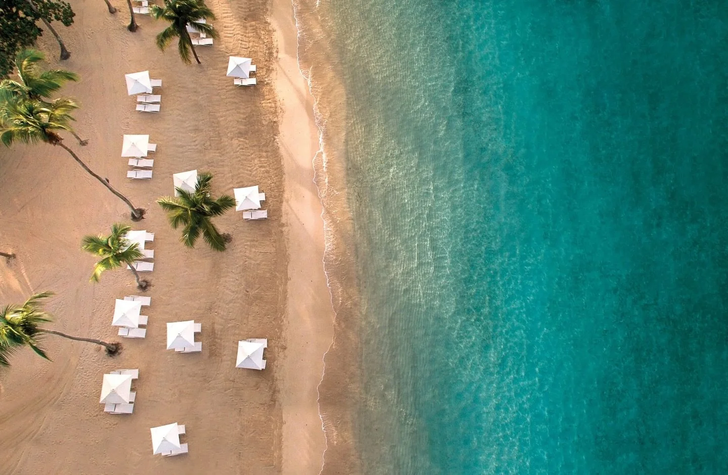 From the Caribbean Sea to the Chav&oacute;n River, Casa De Campo&rsquo;s 7,000 acres of property connect you to the Dominican Republic&rsquo;s most healing waters 🌊🩵🌴

#CasaDeCampo #CaribbeanSea #TTITravel #LuxuryTravel #TravelAdvisors