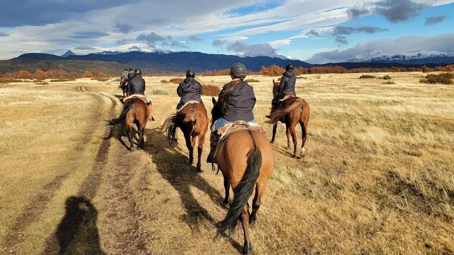 📍Torres del Paine - captured by TTI Advisor Merri Ann Allan

@exploratravel Explora Torres del Paine offers the ultimate luxury basecamp inside the park, just a trek away from the iconic peaks 🏔️🐴Guided by authentic Patagonian gauchos, you can exp